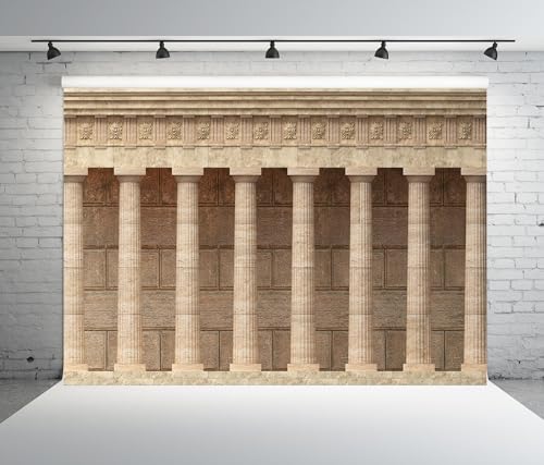 BELECO 8x8ft Fabric Ancient Greek Columns Backdrop Antique Marble Wall Arcade, Roman Columns and Colonnades Architecture Background Banner for Party Decorations Home Wall Decor Photoshoot Props - size: 8x8FT