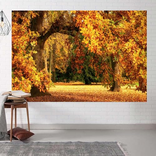 7x5ft Fall Forest Backdrop Fall Leaves Autumn Tree Nature Park Scenery Photography Background Fall Family Wedding Party Outdoor Decorations Supplies Photo Booth Props - size: 7x5ft
