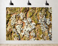 Trykid 15x10ft Tree Bark Lichen Texture Backdrop Organic Natural Earthy Textured Rustic Surface Photography Background Nature Style Tapestry Party Decoration Photo Studio Prop Fabric - size: 15x10ft