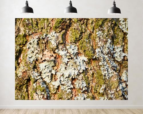 Trykid 15x10ft Tree Bark Lichen Texture Backdrop Organic Natural Earthy Textured Rustic Surface Photography Background Nature Style Tapestry Party Decoration Photo Studio Prop Fabric - size: 15x10ft