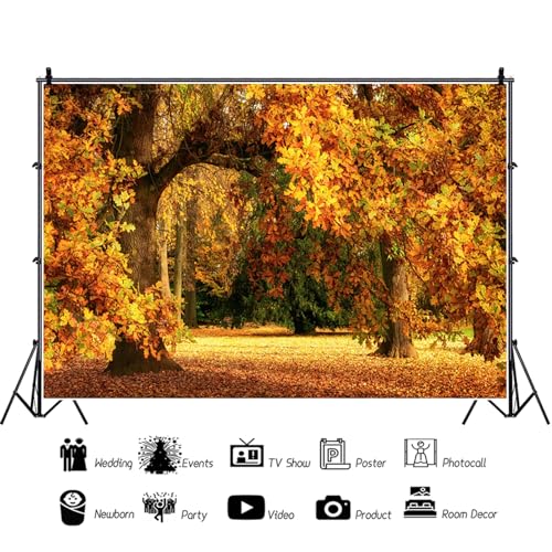 7x5ft Fall Forest Backdrop Fall Leaves Autumn Tree Nature Park Scenery Photography Background Fall Family Wedding Party Outdoor Decorations Supplies Photo Booth Props - size: 7x5ft