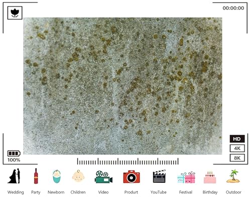 Trykid 20x10ft Mossy Lichen Rough Stone Texture Backdrop Natural Pattern Surface Scene Photography Background Textured Detail Tapestry Party Decoration Photo Booth Prop Fabric - size: 20x10ft