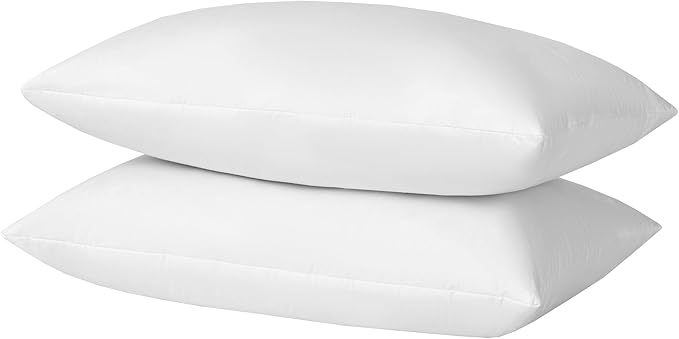 basic home Hotel-Style 30x30 Goose Feather Down Euro Pillow Insert for Sofa & Bed - 100% Odorless & Plump Cushion Filler - 233TC Cotton with Inner Liner to Prevent Poking (30x30 Inch)