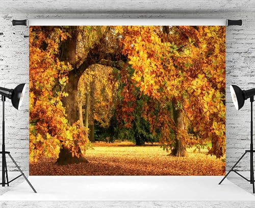 7x5ft Fall Forest Backdrop Fall Leaves Autumn Tree Nature Park Scenery Photography Background Fall Family Wedding Party Outdoor Decorations Supplies Photo Booth Props - size: 7x5ft