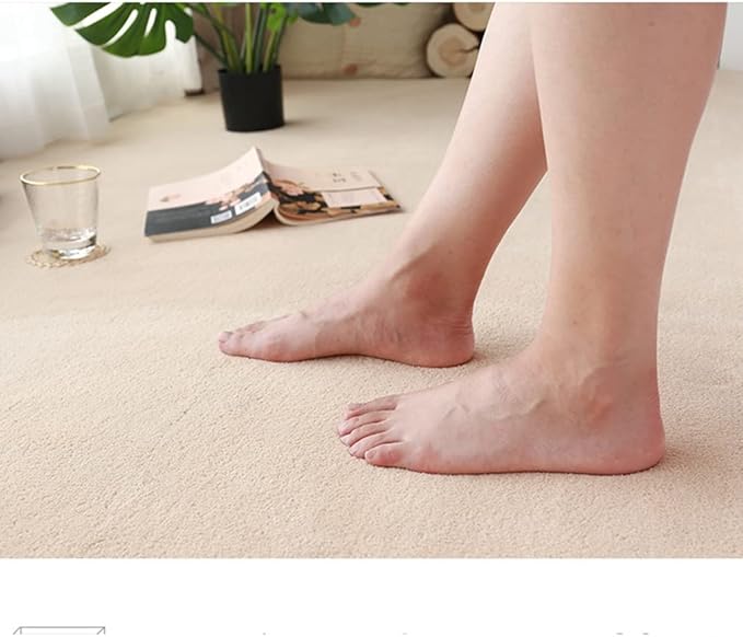 Soft Cashmere Area Rug Luxury Bedside Carpet Bedroom Living Room Mats Solid Color Children's Room Rugs Runner Carpets Indoor Mats Home Décor White Gray Red 4' X 6'