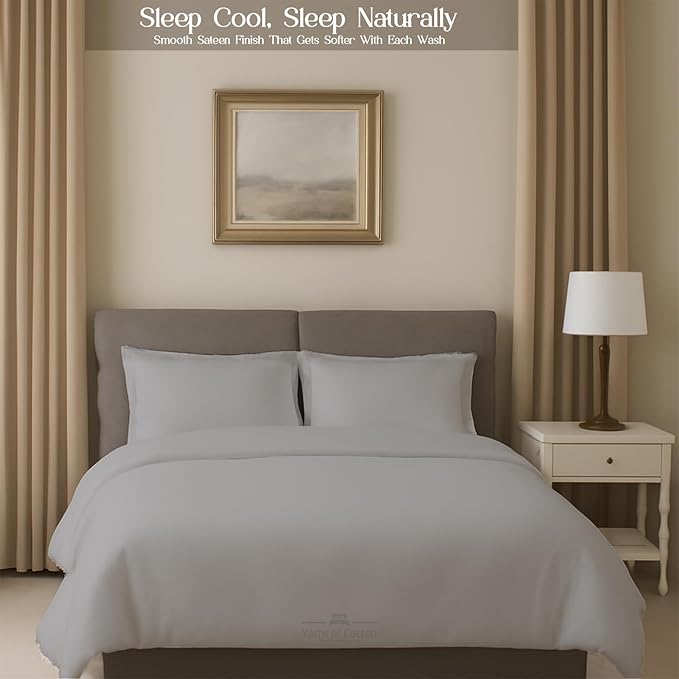 Sleeper Sofa 4 Piece Bed Sheet Set Premium Quality 100% Cotton 500 Thread Count, Smooth & Super Soft Sateen Weave, Extra Soft Bed Sheets, Wrinkle Free, 6 Inch Deep Pocket (Twin, Silver)