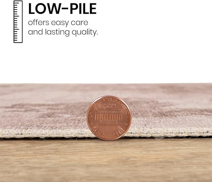 GLN Rugs Contemporary Collection - Machine Washable Area Rug, Contemporary Washable, Non Slip, Low Pile Chenille Rug, Living Room, Bedroom, Kitchen Rug (2' x 3' Abstract Tan)