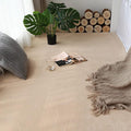 Soft Cashmere Area Rug Luxury Bedside Carpet Bedroom Living Room Mats Solid Color Children's Room Rugs Runner Carpets Indoor Mats Home Décor White Gray Red 2.6' X 6.5'