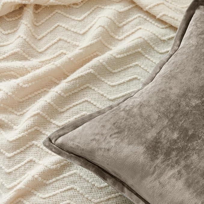 Luxurious Velvet Throw Pillow Covers 20x20 Set of 2 Decorative Pillow Covers Solid Square Cushion Case for Sofa Couch Bedroom Farmhouse, Brown
