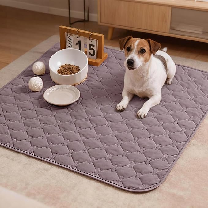 gogobunny 100% Double Sided Waterproof Dog Blanket Soft Pet Bed Cover Reversible Protect Furniture Couch Sofa Car for Puppy Large Dog Cat (Dark Sea Fog/Light Sea Fog, 30x30 Inch (Pack of 1))