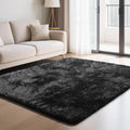 Fluffy Rug Shaggy Area Rug, Black 4x6 Area Rugs for Bedroom, Small Bedside Rug, Soft Fluffy Shaggy Entryway Throw Rugs for Living Room Bedroom Kids Room Home Decor