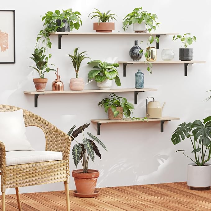 DINZI LVJ Long Wall Shelves, 31.5 Inch Wall Mounted Shelves Set of 2, Easy-to-Install, Floating Storage Ledges with Sturdy Metal Brackets for Living Room, Bathroom, Bedroom, Kitchen, Natural