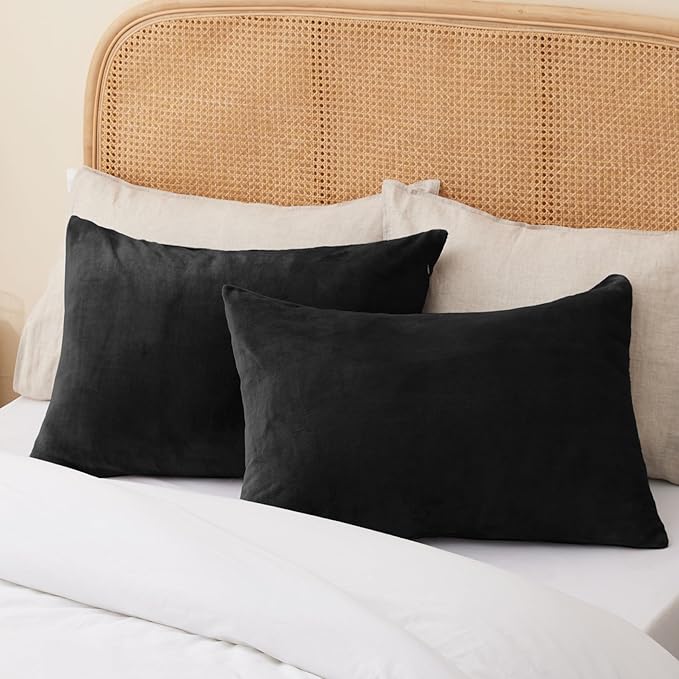 BEDELITE Flannel Pillow Cases Queen Size Set of 2, Super Soft Fleece Pillowcases with Zipper for Bedroom, Sofa, Couch,Luxury Cozy Fuzzy Velvet Pillow Shams for All Seasons(20x30 Inches,Black)