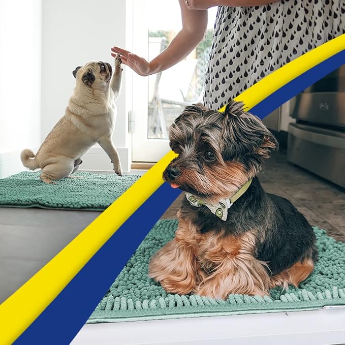 Muddy Mat® Shown on TV–Super Absorbent Microfiber Dog Door Mat for Muddy Paws, Non-Slip Washable Pet Rug, Quick Dry Chenille Entryway Carpet, Machine Washable Indoor Outdoor mat–Seafoam Green 59"x35"