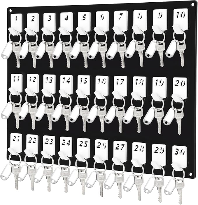 Beeveer Acrylic Key Board with 30 No. Hooks Wall Mount Key Rack Holder Hanger Storage Collection for School, Garage, Car Dealer, Office, Hotel, Real Estate(Black)