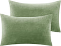 BEDELITE Flannel Pillowcases Standard Set of 2, Super Soft Fleece Pillow Case Cover with Zipper for Bedroom, Sofa, Couch,Luxury Cozy Velvet Pillow Shams for All Seasons(20x26 Inches, Sage Green)