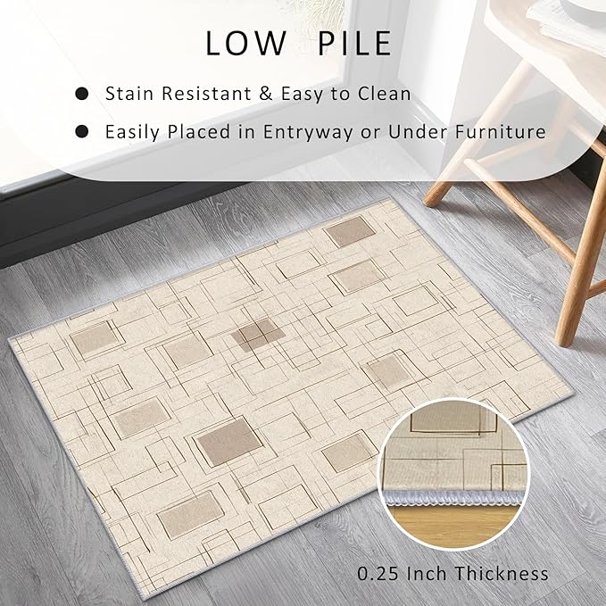 Geometric Rug Small, Washable 2x3 Throw Rug for Entryway, Modern Abstract Patterned Indoor Door Mat, Geometric Decor for Home, Bedroom, Soft Non Slip Thin Design FER52