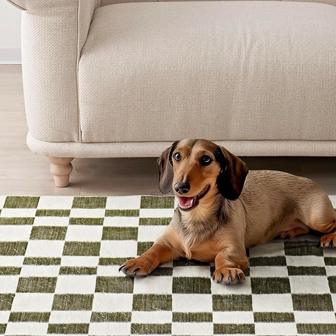 EVERGRACE Checkered Plaid Area Rug 2x8, Soft Fuzzy Faux Wool Rugs Washable Anti Slip Long Runner Rug Carpet for Entryway Bedroom Living Room Hallway Kitchen Dining Room and Laundry, Olive Green