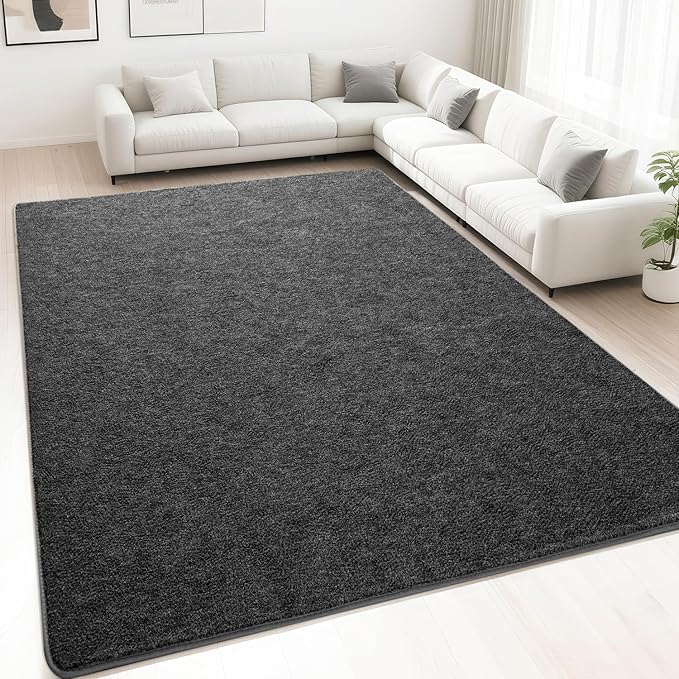 HQAYW 6x9 Large Area Rugs for Living Room Bedroom, Modern Thickened Memory Foam Soft Rug, Low Pile Minimalist Washable Non Slip Carpets for Kids Girls Boys Nursery Dorm Home Decor, Dark Grey