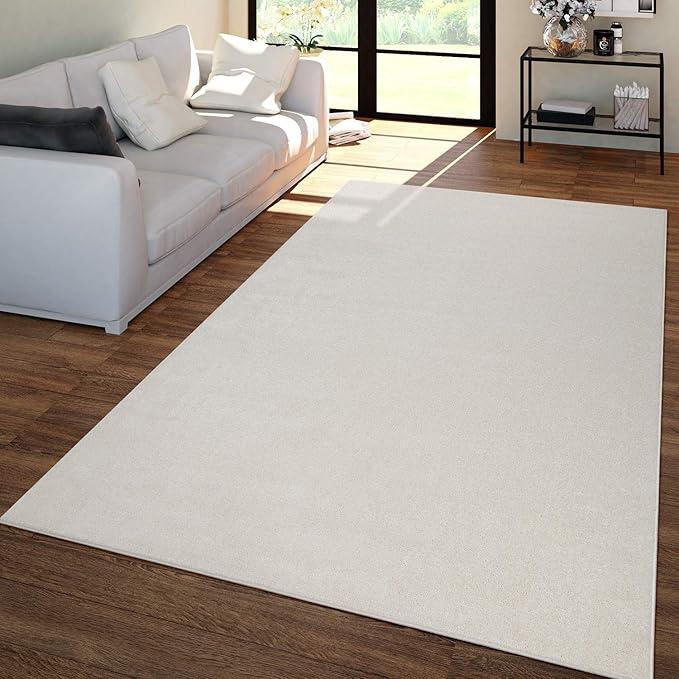 Paco Home Solid Area Rug in Cream Modern Plain Design, Size: 2'8" x 4'11"