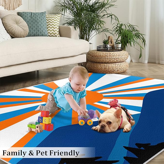 Boho Sun Area Rugs 3x5ft, Abstraction Deco Boys Rugs for Bedroom, Minimalist Sunburst Kids Room Rug Soft Fuzzy Washable for Living Room Game Room Coffee Table