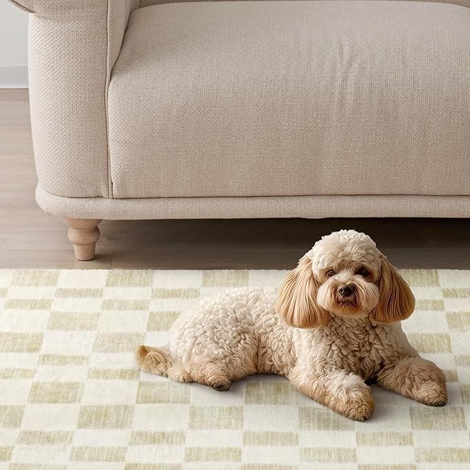 EVERGRACE Checkered Plaid Area Rug 6x9, Soft Faux Wool Rugs Washable Anti Slip Rugs Large Rug Carpet for Entryway Bedroom Living Room Hallway Kitchen Dining Room and Laundry Room, Beige