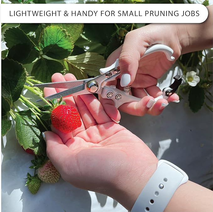 Loopseed Precision Garden Trimming Scissors & Hand Pruner - White