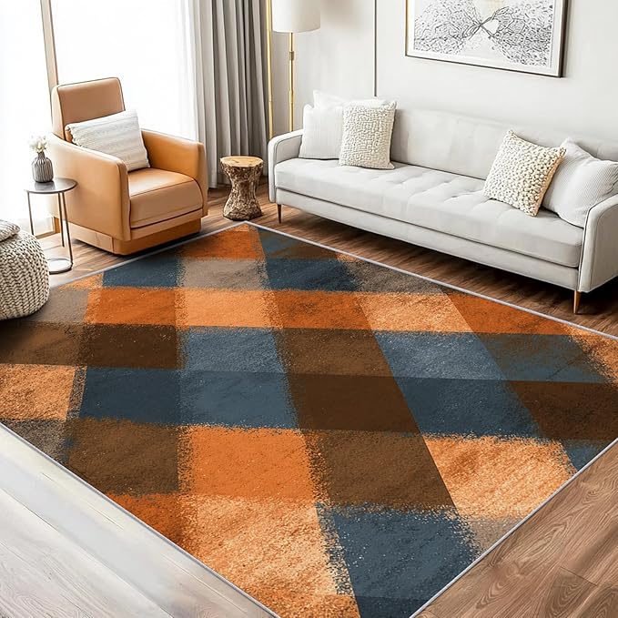 Checkered Geometric Rug, Washable 6x8 Rug for Living Room, Modern Abstract Patterned Indoor Carpet, Checkered Geometric Decor for Home, Bedroom, Soft Non Slip Thin Design FER50