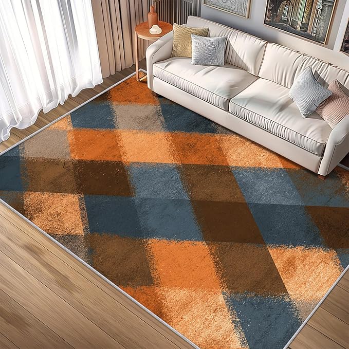 Checkered Geometric Rug, Washable 5x7 Rug for Living Room, Modern Abstract Patterned Indoor Carpet, Checkered Geometric Decor for Home, Bedroom, Soft Non Slip Thin Design FER48