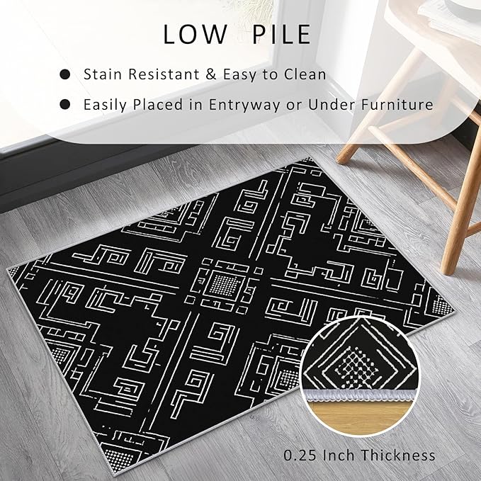 Geometric Rug, Washable 4x6 Rug for Living Room, Black and White Patterned Indoor Carpet, Modern Geometric Decor for Home, Bedroom, Soft Non Slip Thin Design FER16