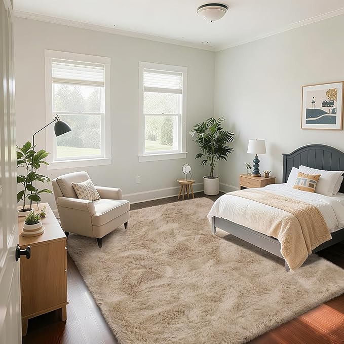 Fluffy Rug Shaggy Area Rug, Beige 4x6 Area Rugs for Bedroom, Small Bedside Rug, Soft Fluffy Shaggy Entryway Throw Rugs for Living Room Bedroom Kids Room Home Decor