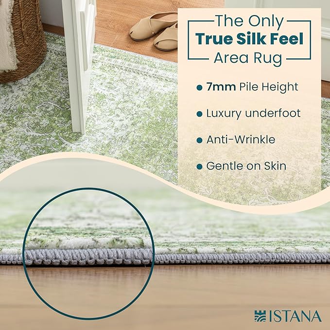 Istana 3x5 Area Rug - Light Green Modern Rugs for Living Room 3x5 - Foldable Rugs for Bedroom/Living Room Rug - Stain Resistant Washable Rug - Eco-Friendly Small Area Rugs