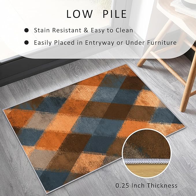 Checkered Geometric Rug Small, Washable 2x3 Throw Rug for Entryway, Modern Abstract Patterned Indoor Door Mat, Checkered Geometric Decor for Home, Bedroom, Soft Non Slip Thin Design FER42