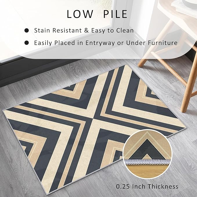 Modern Geometric Rug, Washable 3x4 Rug for Living Room, Herringbone Chevron Patterned Indoor Carpet, Modern Geometric Decor for Home, Bedroom, Soft Non Slip Thin Design FER73