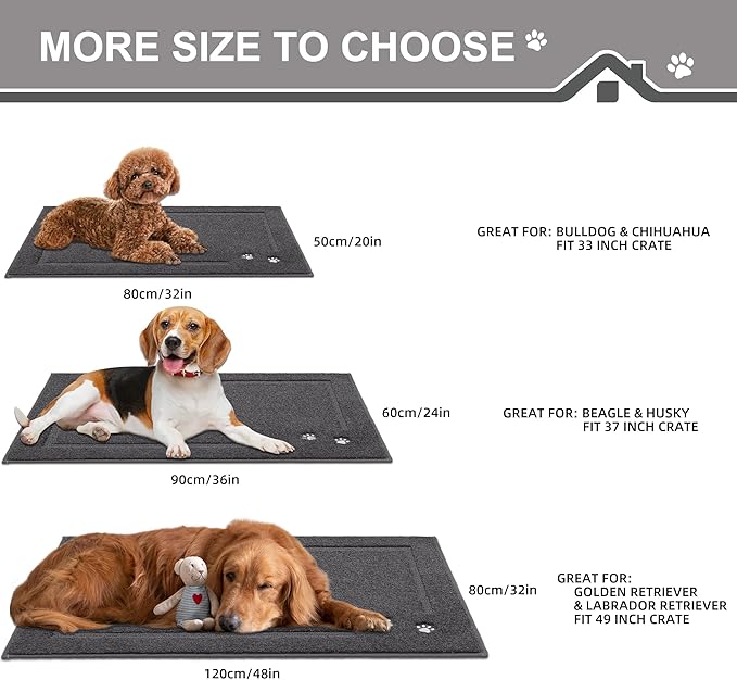 BEQHAUSE Dog Door Mat for Muddy Paws 20"x32" Dirt Trapper Absorbent Doormat Non Slip Entryway Rugs Washable Stain Resistant Welcome Floor Mat Soft Low-Profile for Front Back Door, Dark Grey