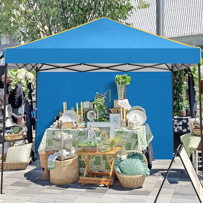 COBIZI 10x10 Pop Up Canopy Tent with Sidewalls and Roll-up Ventilated Windows with Mosquito net, Ez Outdoor Commercial Instant Gazebo Tent for Party Waterproof with Carrybag