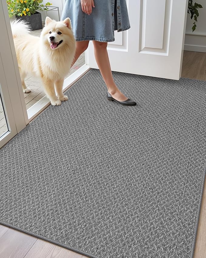 Color&Geometry Ultra Thin Indoor Door Mat Non Slip Rubber Backed Dirt Trapper 32"x48"(Rolled-up NO Creases), Rugs for Entryway, Front Door Mat Indoor Washable Low-Profile Entry Mat, Light Grey