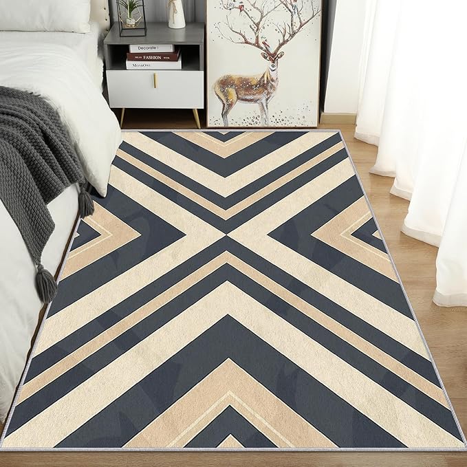 Modern Geometric Rug Small, Washable 2x3 Throw Rug for Entryway, Herringbone Chevron Patterned Indoor Door Mat, Modern Geometric Decor for Home, Bedroom, Soft Non Slip Thin Design FER72