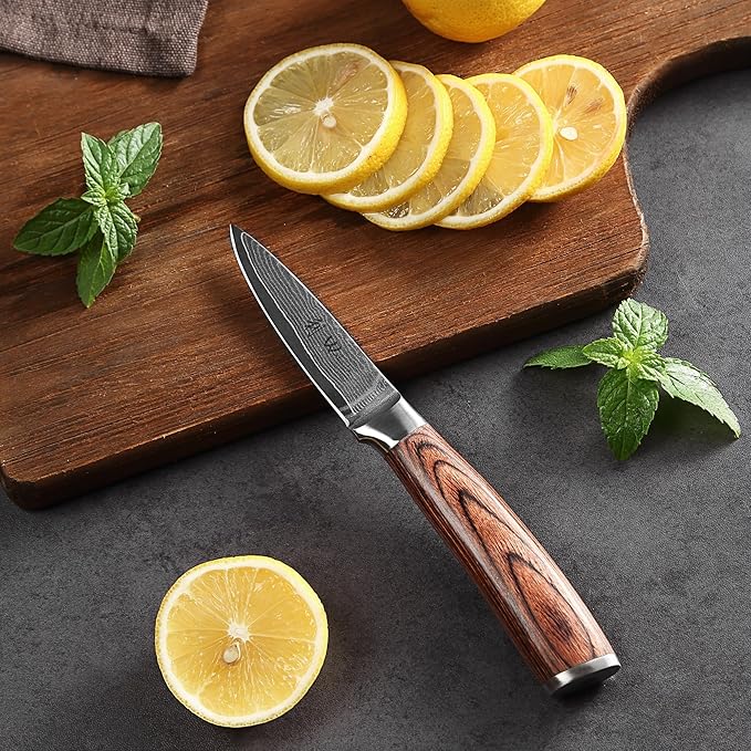Wakoli EDIB Damascus Chef Knife Set, VG10 Core Blades, 6-Pcs Kitchen Knives