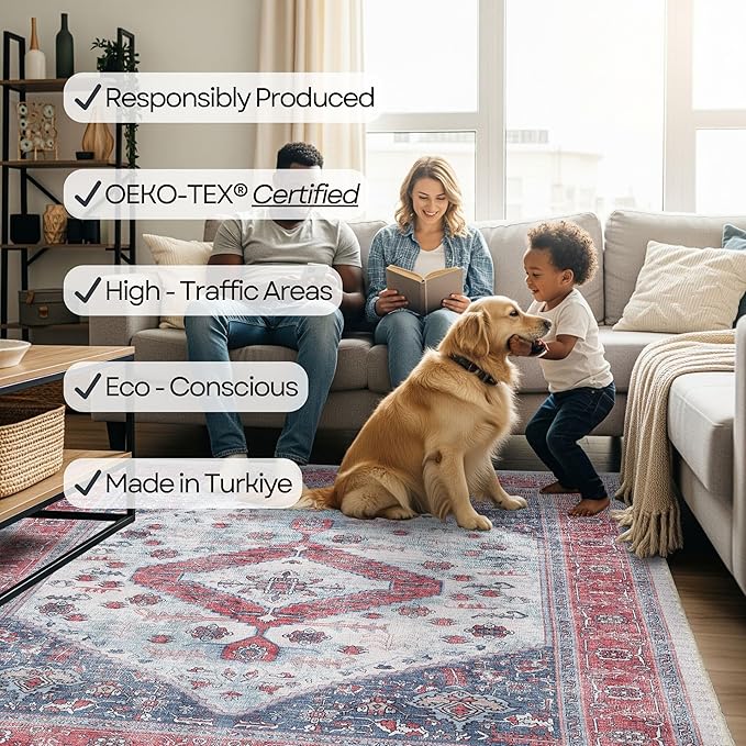 Fame Rugs Turkish Rug. Washable Vintage Oriental Antique Inspired Traditional Doormat Small Modern Area Rugs Luxury Entryway Entry Bedroom Bathroom Kitchen (402RN, 7'5 x 9'9)