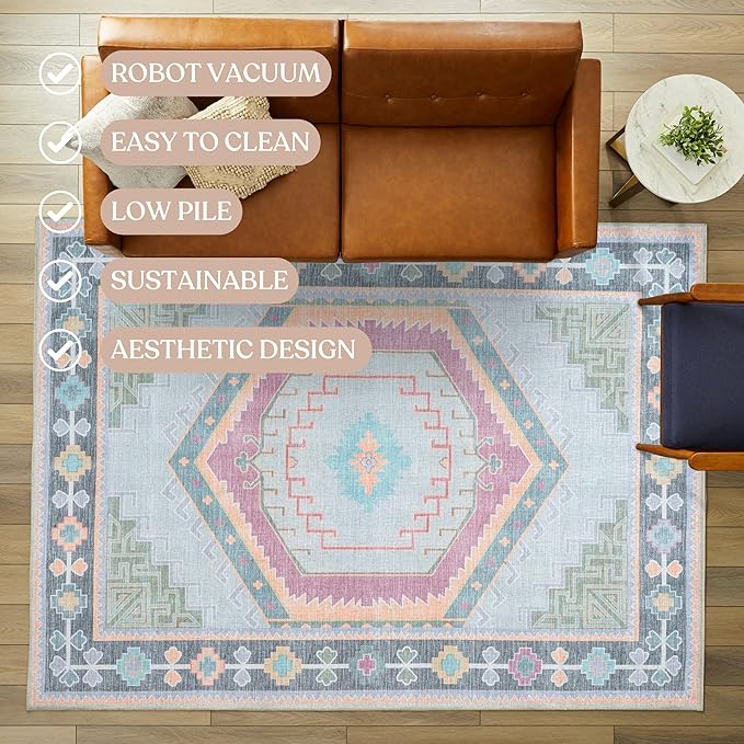 Fame Living Washable Area Rug. Modern Farmhouse. Vintage. Turkish. Bohemian. Distressed. Oriental. Traditional. Rugs for Living Room. Dining. Bedroom. Office. Entryway. Foyer. (856GP, 2'5" x 9'8")