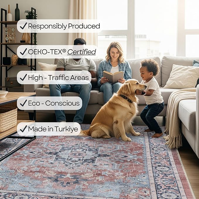 Fame Rugs Turkish Rug. Washable Vintage Oriental Antique Inspired Traditional Doormat Small Modern Area Rugs Luxury Entryway Entry Bedroom Bathroom Kitchen (401TB, 9' x 12')
