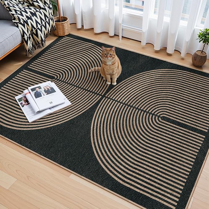 Lahome Modern Rainbow Easy Jute 4x6 Rug, Outdoor Patio Rug for Living Room Washable Black Carpet for Bedroom, Contemporary Non Slip Non Shedding Floor Carpet for Office Backyard