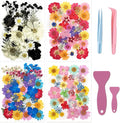 Tessera 160+ Pcs Real Pressed Flowers for Resin & Crafts - 4 Themed Dried Flower Sheets with 4-Piece DIY Tool Kit - for Resin Jewelry Making, Scrapbooking Supplies, Nail Art, Candle & DIY Gifts