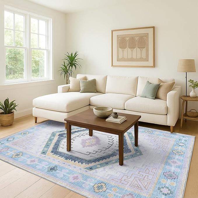 Fame Living Washable Area Rug. Modern Farmhouse. Vintage. Turkish. Bohemian. Distressed. Oriental. Traditional. Rugs for Living Room. Dining. Bedroom. Office. Entryway. Foyer. (856PBl, 5'9" x 8'9")