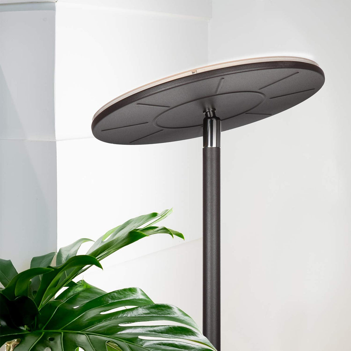 Brightech Sky LED Floor Lamp | Dimmable Torchiere, 3000K Warm White, Bronze