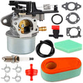 Ferilter 593599 Carburetor for Briggs & Stratton 190cc Engines | Troy-Bilt & Pressure Washer