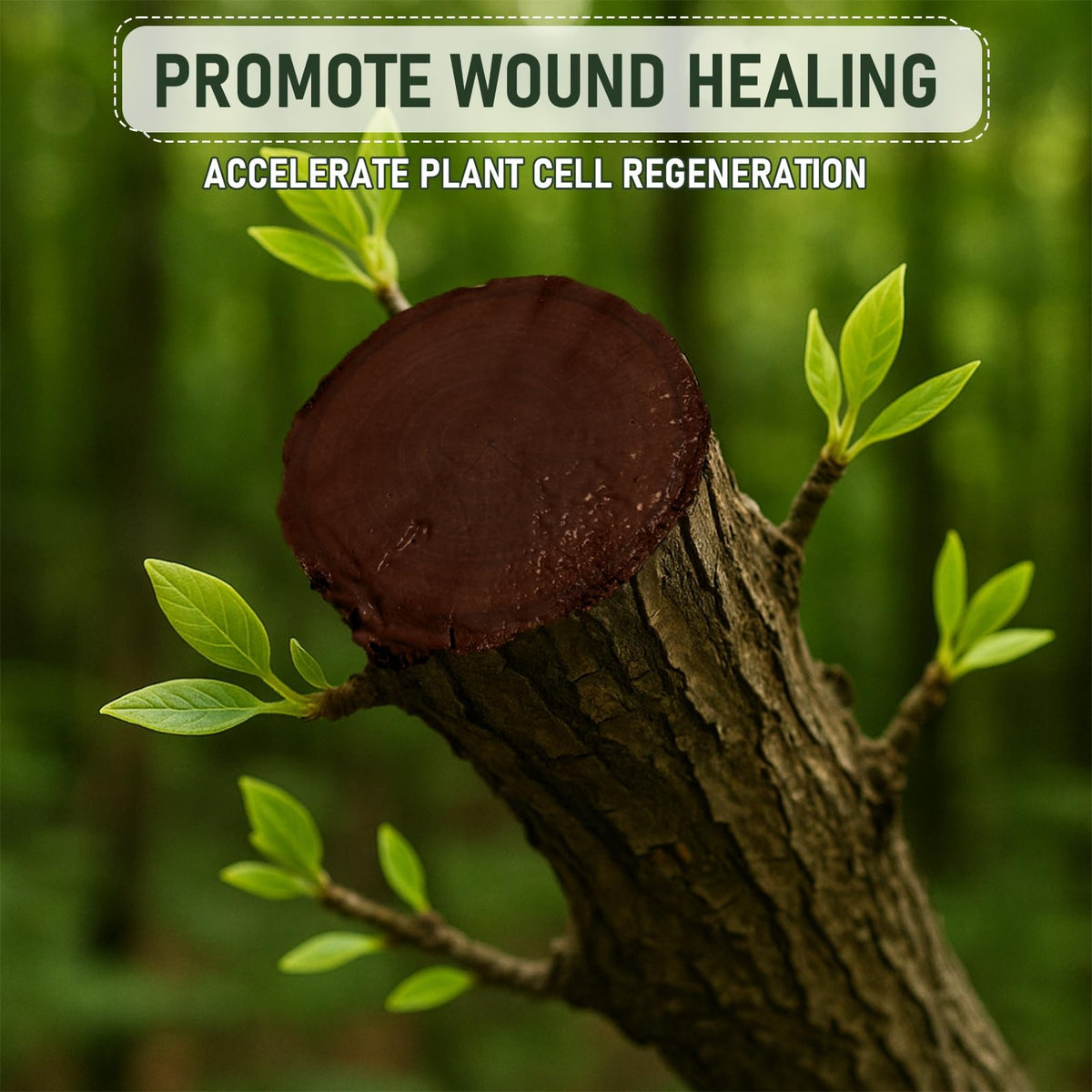 Meuvcol Tree Wound Sealer & Dressing – 500g Bark Repair & Grafting Sealant