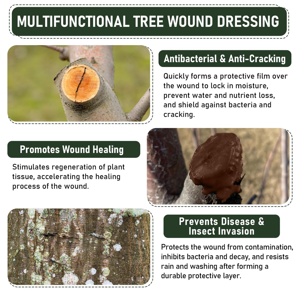Meuvcol Tree Wound Sealer & Dressing – 500g Bark Repair & Grafting Sealant