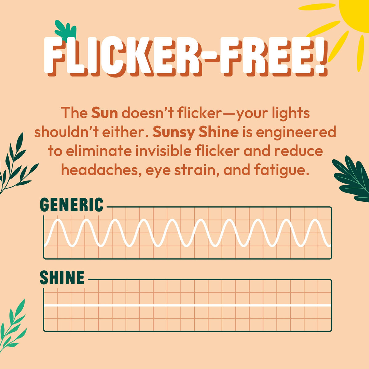 Sunsy Shine - Full-Spectrum Flicker-Free A19 Bulb for Energy, Mood & Circadian Rhythm